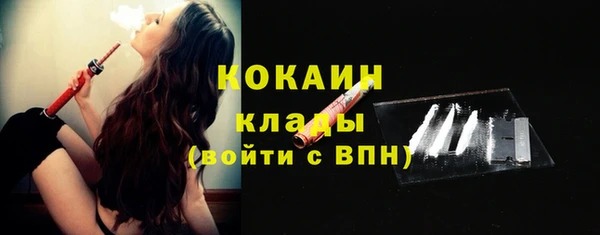 стаф Арсеньев