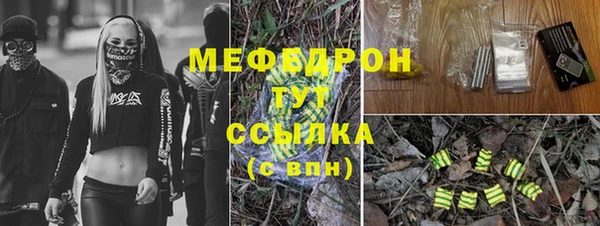стаф Арсеньев