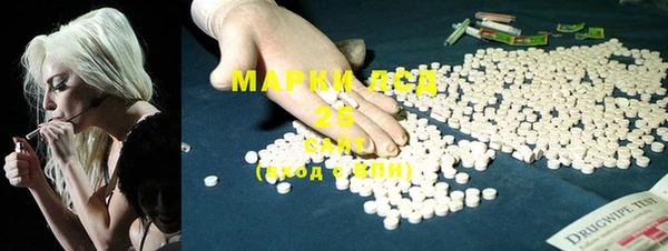 стаф Арсеньев