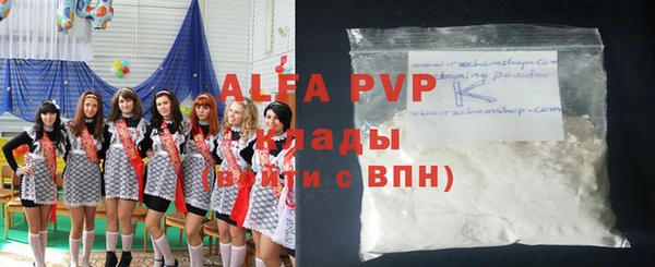 стаф Арсеньев