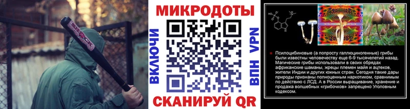 Псилоцибиновые грибы мицелий  Мезень 